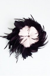 SALE - Pheasant segutis